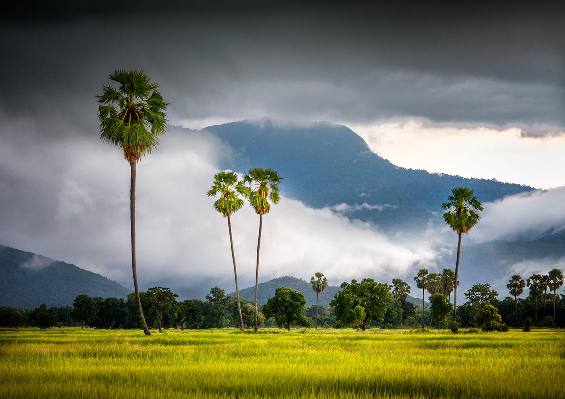 Cycling through the Sukhothai countryside in the cool season — clear sky and golden morning light
